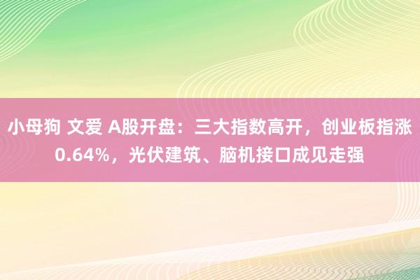 小母狗 文爱 A股开盘：三大指数高开，创业板指涨0.64%，光伏建筑、脑机接口成见走强