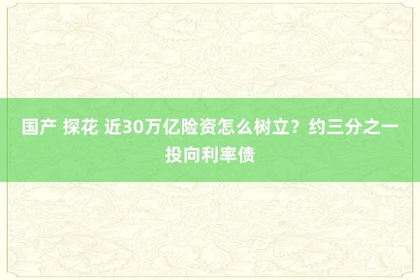 国产 探花 近30万亿险资怎么树立？约三分之一投向利率债