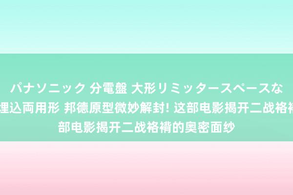 パナソニック 分電盤 大形リミッタースペースなし 露出・半埋込両用形 邦德原型微妙解封! 这部电影揭开二战袼褙的奥密面纱