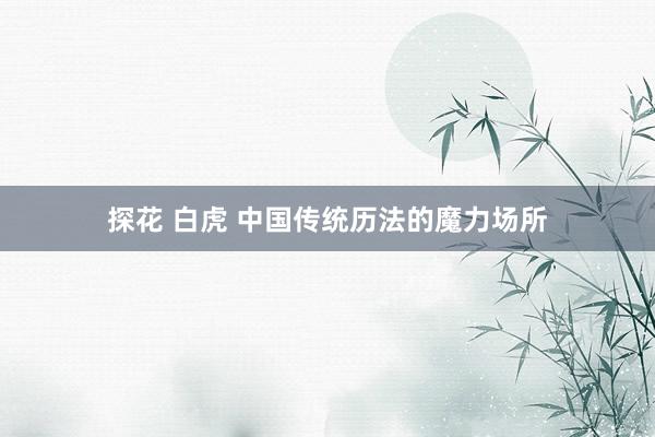 探花 白虎 中国传统历法的魔力场所