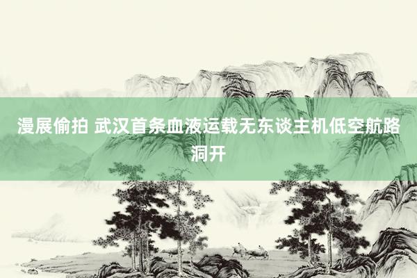 漫展偷拍 武汉首条血液运载无东谈主机低空航路洞开