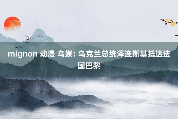 mignon 动漫 乌媒: 乌克兰总统泽连斯基抵达法国巴黎