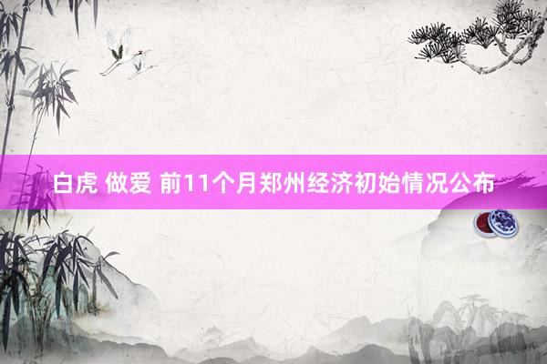 白虎 做爱 前11个月郑州经济初始情况公布