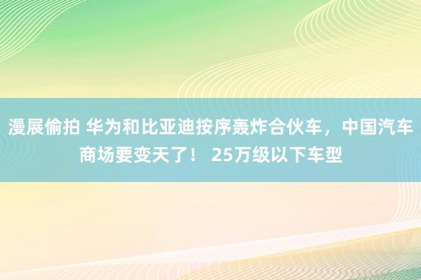 漫展偷拍 华为和比亚迪按序轰炸合伙车，中国汽车商场要变天了！ 25万级以下车型