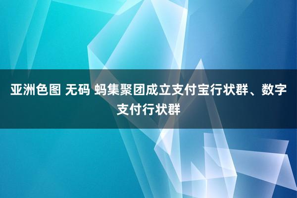 亚洲色图 无码 蚂集聚团成立支付宝行状群、数字支付行状群