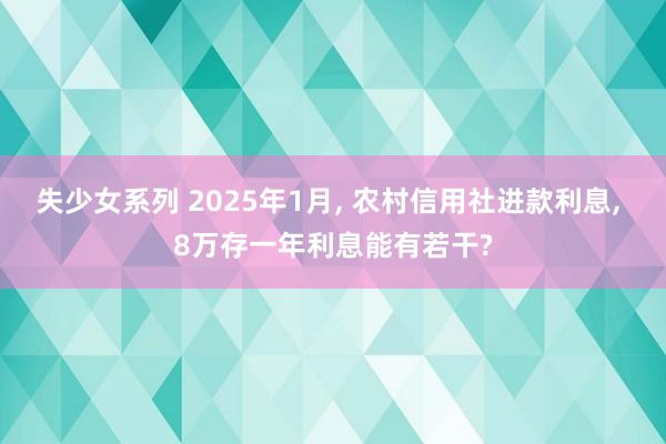失少女系列 2025年1月， 农村信用社进款利息， 8万存一年利息能有若干?