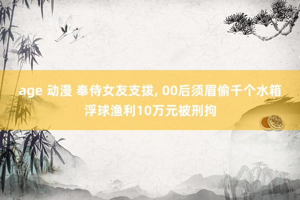 age 动漫 奉侍女友支拨， 00后须眉偷千个水箱浮球渔利10万元被刑拘