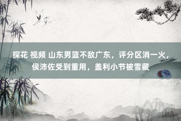 探花 视频 山东男篮不敌广东，评分区消一火，侯沛佐受到重用，盖利小节被雪藏