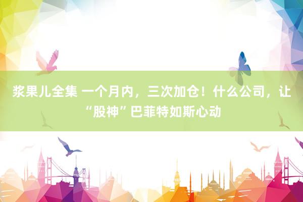 浆果儿全集 一个月内，三次加仓！什么公司，让“股神”巴菲特如斯心动