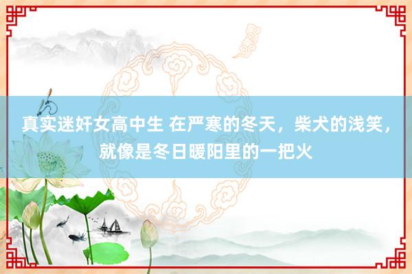 真实迷奸女高中生 在严寒的冬天，柴犬的浅笑，就像是冬日暖阳里的一把火