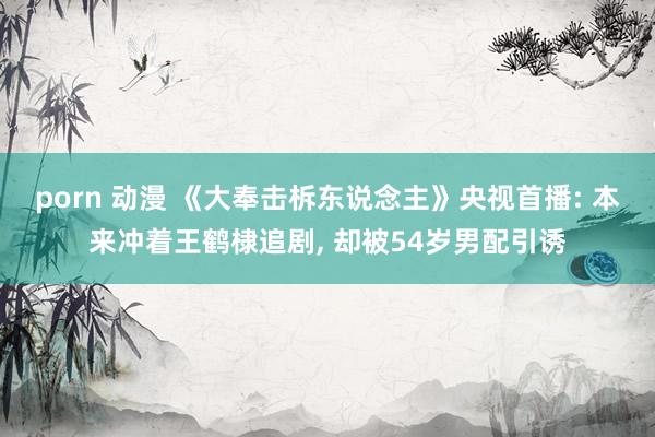 porn 动漫 《大奉击柝东说念主》央视首播: 本来冲着王鹤棣追剧， 却被54岁男配引诱