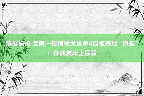 漫展偷拍 云南一搜捕警犬贯串4周被基地“通报”：在战友床上尿尿
