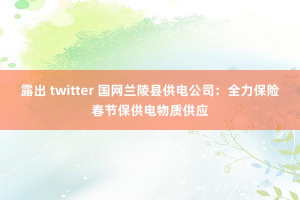 露出 twitter 国网兰陵县供电公司：全力保险春节保供电物质供应