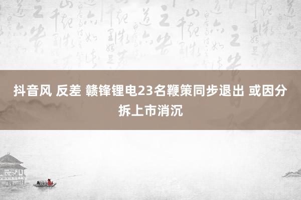 抖音风 反差 赣锋锂电23名鞭策同步退出 或因分拆上市消沉