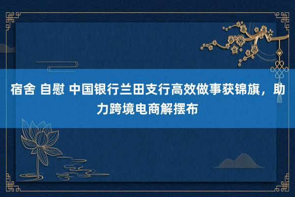 宿舍 自慰 中国银行兰田支行高效做事获锦旗，助力跨境电商解摆布