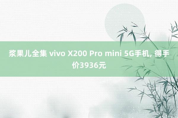 浆果儿全集 vivo X200 Pro mini 5G手机， 得手价3936元