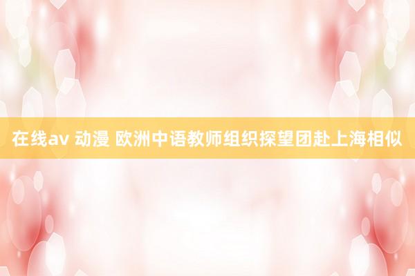 在线av 动漫 欧洲中语教师组织探望团赴上海相似