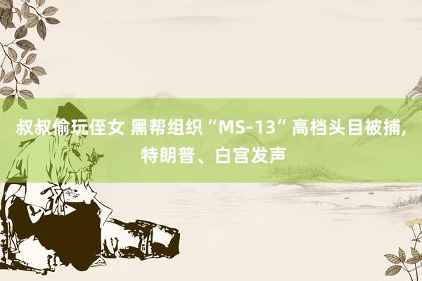 叔叔偷玩侄女 黑帮组织“MS-13”高档头目被捕， 特朗普、白宫发声