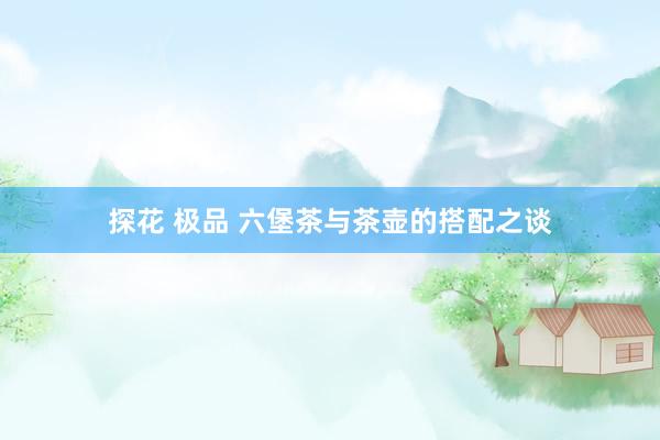 探花 极品 六堡茶与茶壶的搭配之谈