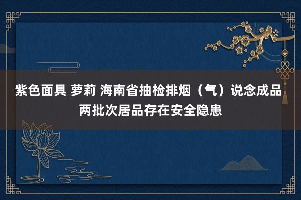 紫色面具 萝莉 海南省抽检排烟（气）说念成品 两批次居品存在安全隐患
