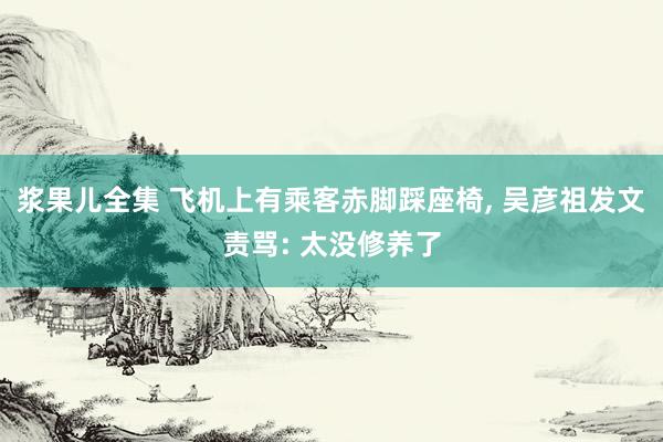 浆果儿全集 飞机上有乘客赤脚踩座椅， 吴彦祖发文责骂: 太没修养了