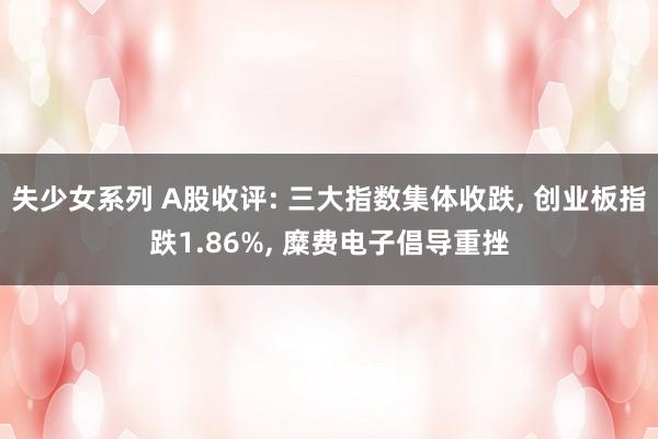 失少女系列 A股收评: 三大指数集体收跌， 创业板指跌1.86%， 糜费电子倡导重挫