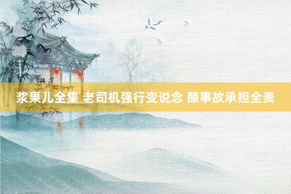 浆果儿全集 老司机强行变说念 酿事故承担全责