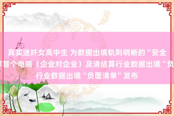 真实迷奸女高中生 为数据出境轨则明晰的“安全航说念” 世界首个电商（企业对企业）及清结算行业数据出境“负面清单”发布
