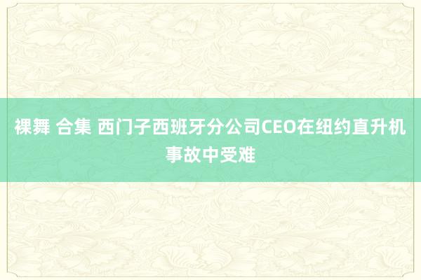 裸舞 合集 西门子西班牙分公司CEO在纽约直升机事故中受难