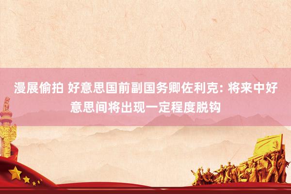 漫展偷拍 好意思国前副国务卿佐利克: 将来中好意思间将出现一定程度脱钩