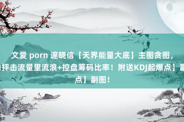 文爱 porn 邃晓信【天界能量大底】主图贪图，主力抨击流量里流浪+控盘筹码比率！附送KDJ起爆点】副图！