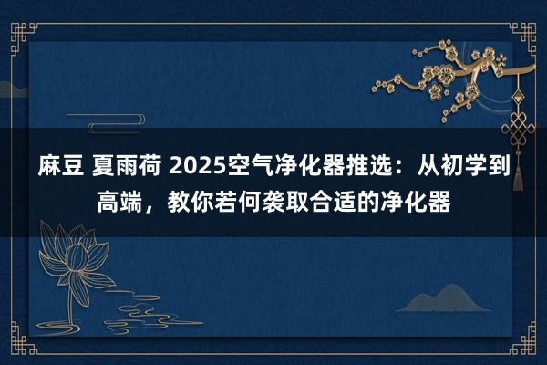 麻豆 夏雨荷 2025空气净化器推选：从初学到高端，教你若何袭取合适的净化器