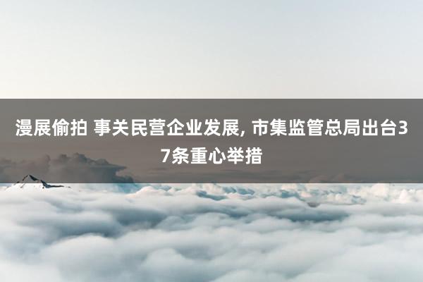 漫展偷拍 事关民营企业发展， 市集监管总局出台37条重心举措
