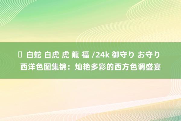 ✨白蛇 白虎 虎 龍 福 /24k 御守り お守り 西洋色图集锦：灿艳多彩的西方色调盛宴