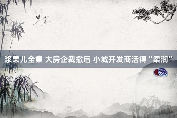 浆果儿全集 大房企裁撤后 小城开发商活得“柔润”
