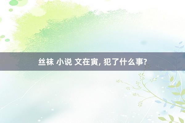 丝袜 小说 文在寅， 犯了什么事?